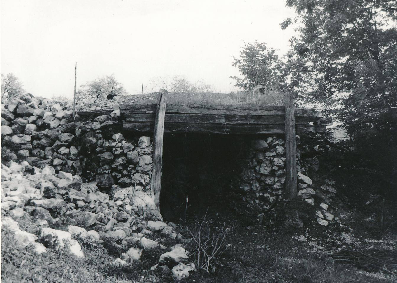 eika image